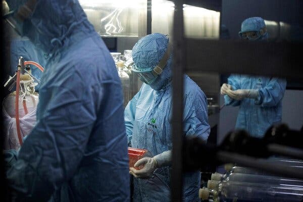 Race for Coronavirus Vaccine Pits Spy Against Spy 1