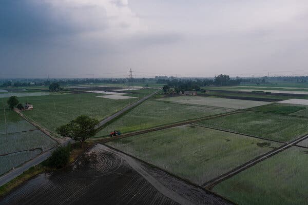 ‘The Lockdown Killed My Father’: Farmer Suicides Add to
India’s Virus Misery 1