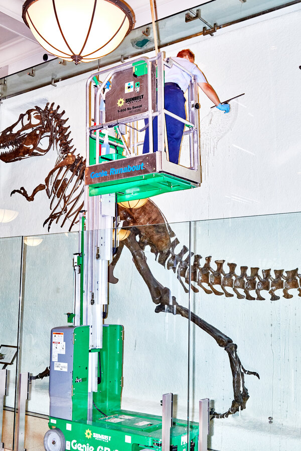 Natural History Museum Brushes Up for a Reopening 1