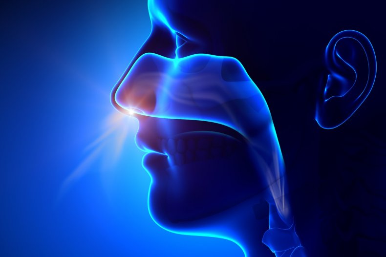 Inhaled Coronavirus Vaccine That Delivers Drug Directly to
Airways to Be Trialled 1