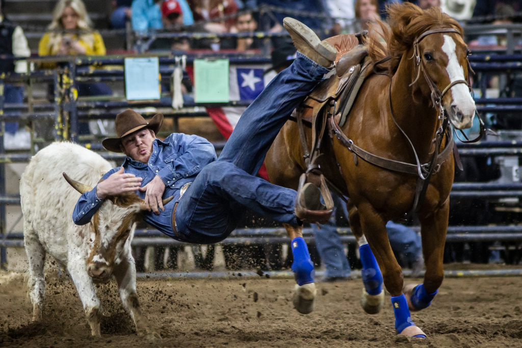 National Western Stock Show 2021 canceled due to COVID-19
pandemic 1