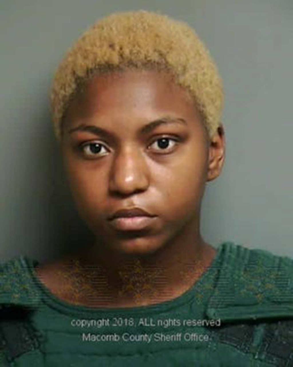 Michigan student who fatally stabbed classmate gets 27
years 1