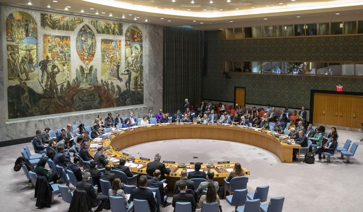 UN failures on coronavirus underscore the need for
reforms 1
