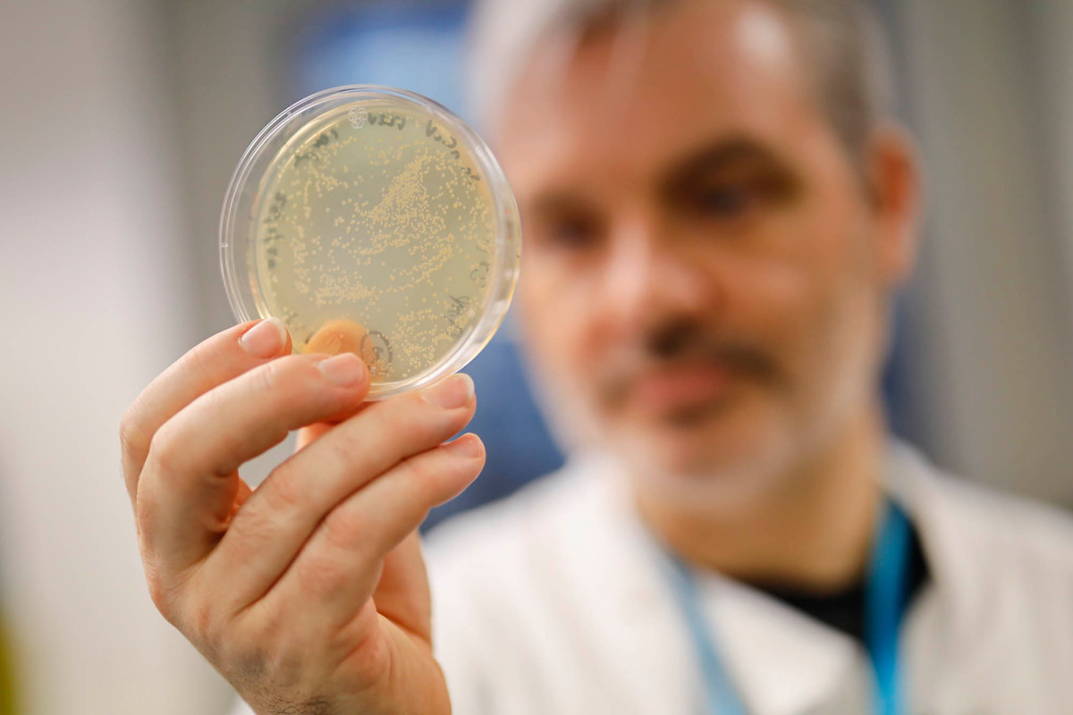 UK testing if COVID-19 vaccines work better inhaled 1