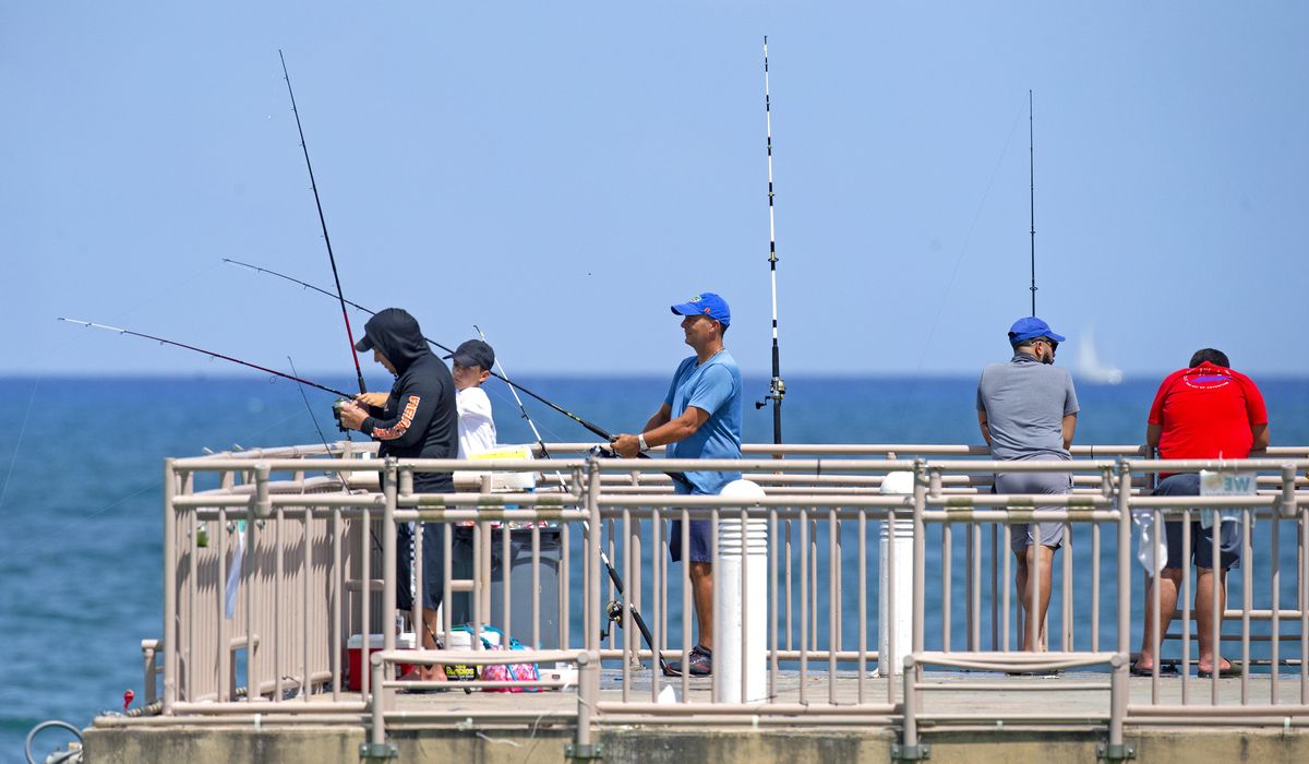 Florida posts fewest new cases of COVID-19 since
mid-June 1