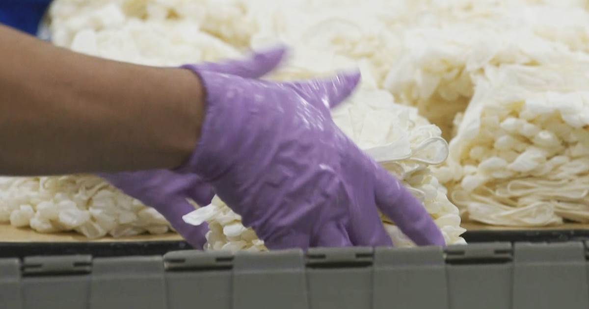 Trump admin is 'woefully behind' in stockpiling medical
gloves as Covid-19 surges 1