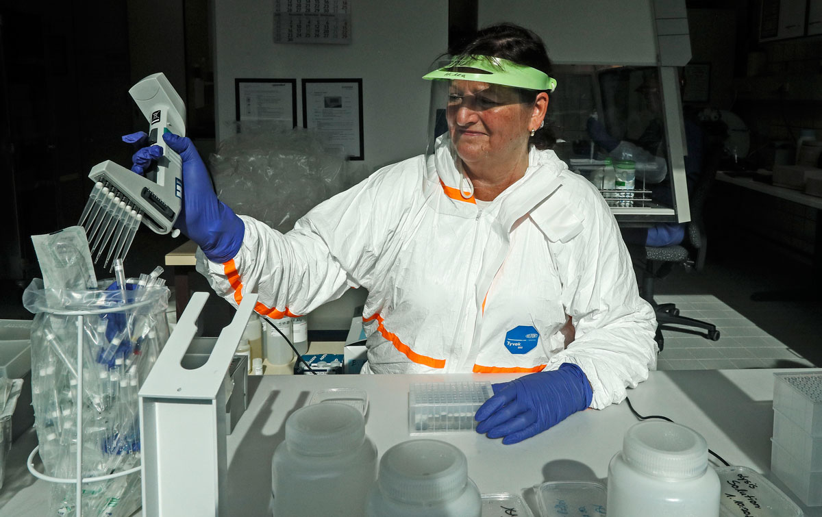 Germany reports highest number of new coronavirus infections
since April 1