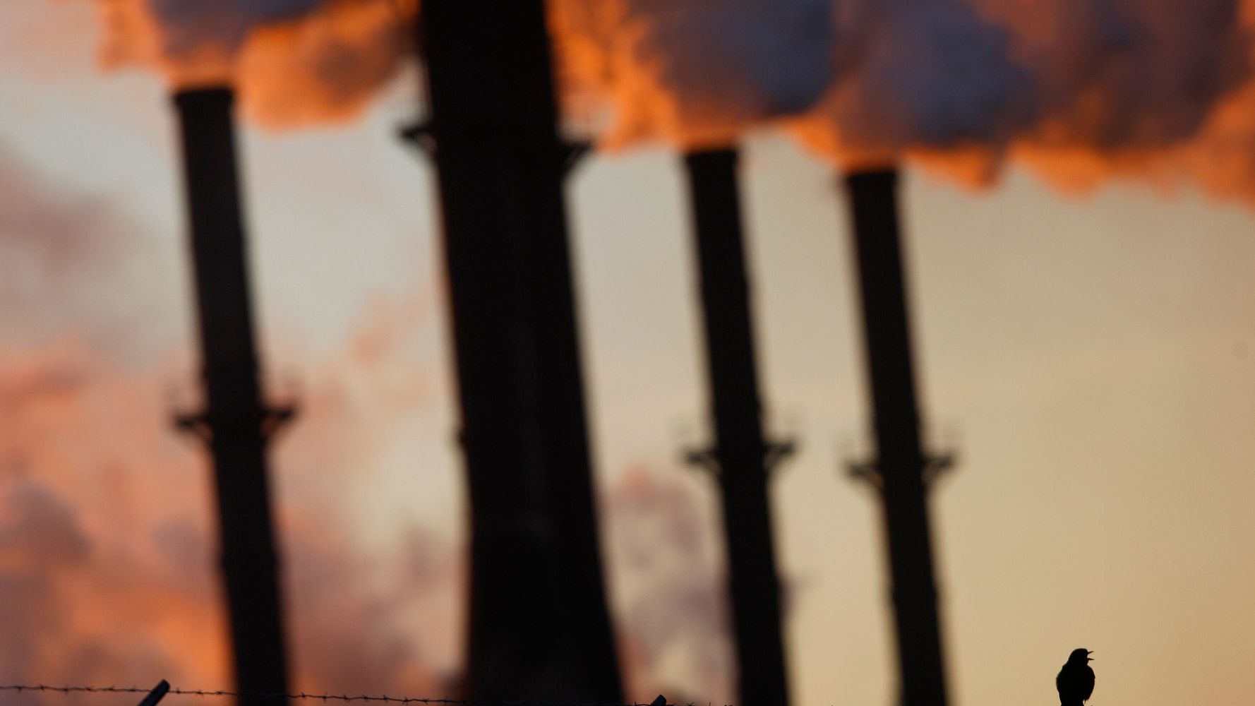 Corporate Polluters Got Millions In Federal COVID-19
Aid 1