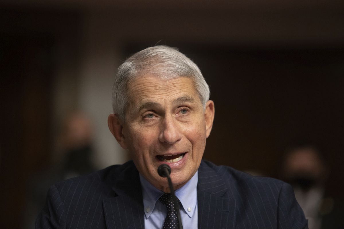 From a COVID-19 vaccine timeline to how he handles Trump’s
name-calling, here are 5 things to know about Fauci’s virtual
Chicago talk 1 From a COVID-19 vaccine timeline to how he handles Trump’s
name-calling, here are 5 things to know about Fauci’s virtual
Chicago talk 1