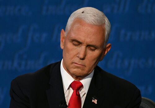 Pence, Harris spar over COVID-19 in vice presidential debate
as fly takes over the internet 1