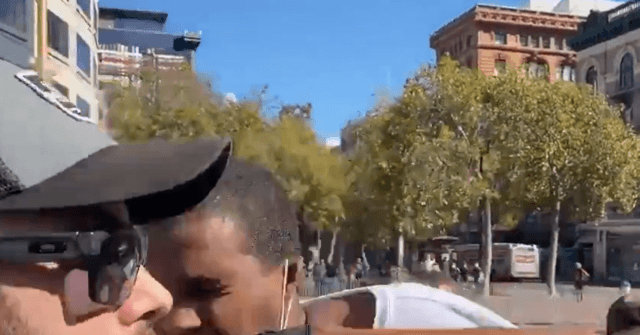 Protester Arrested in Assault of Black Conservative Rally
Organizer 1