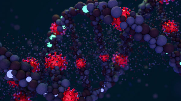 Major lawsuits coming for political tyrants who used
coronavirus to steal freedom, destroy lives 1