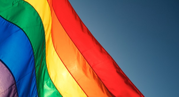 Report: Cops openly promote LGBT political causes 1