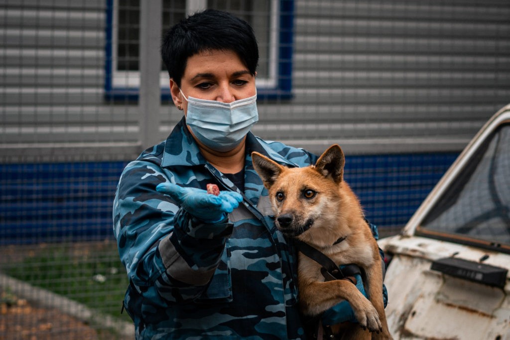 Russia Adds Alleged Coronavirus-Smelling Dogs to
Pandemic Fight 1