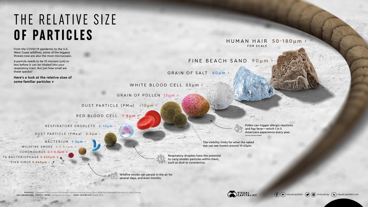 Visualizing The Relative Size Of Particles (Like
COVID-19) 1