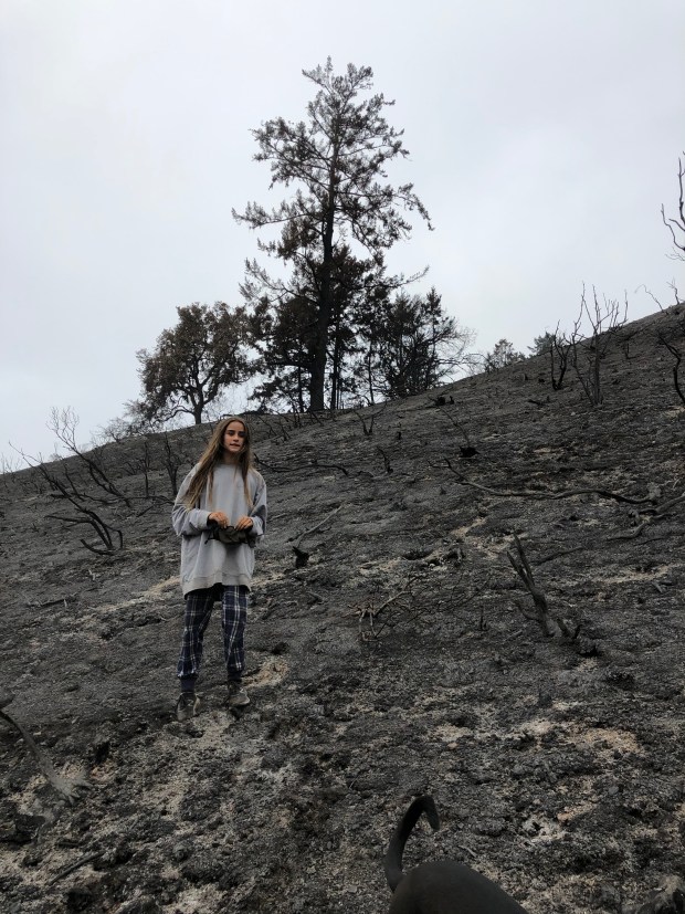 Santa Cruz and San Mateo county pumpkin, Christmas tree
farms prep for holidays despite fires, COVID-19 1