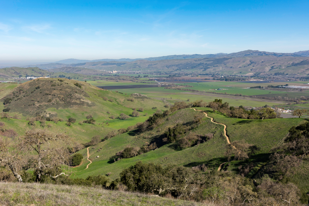 Open space tax measure heads to Santa Clara County
voters 1