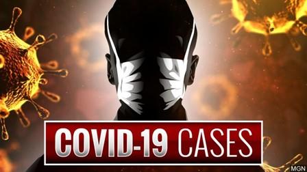 It Should Be Obvious That COVID-19 Is Pretty Similar to
Typical Flu 1