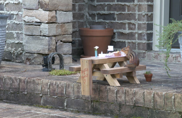 Food writer opens porch restaurant for chipmunk 1 Food writer opens porch restaurant for chipmunk 1