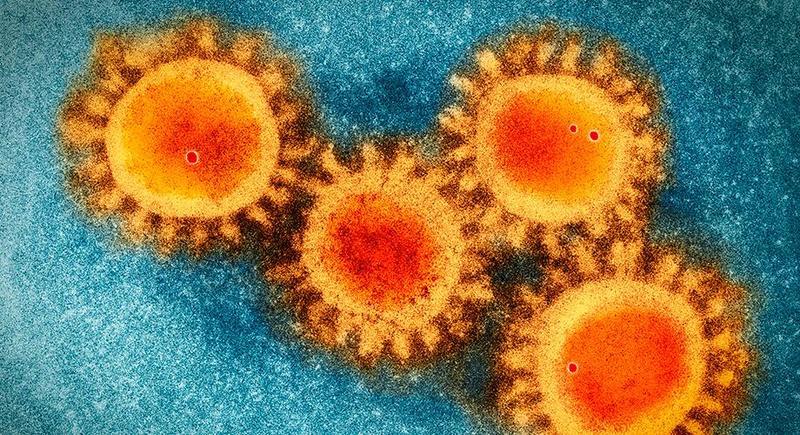 COVID-19 Is 'Unrestricted Bioweapon': Whistleblower Releases
Second Paper Alleging 'Large-Scale, Organized Scientific
Fraud' 1