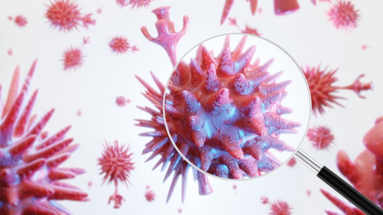 Siberian Virologist Reinfects Himself With Coronavirus in
Experiment to Test Immunity 1