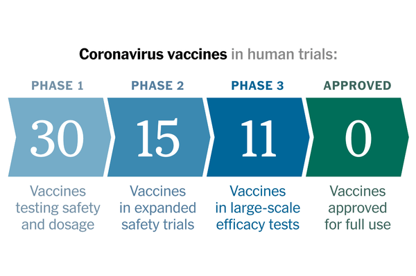 Coronavirus Vaccine Makers Are Not Mass-Slaughtering
Sharks 1