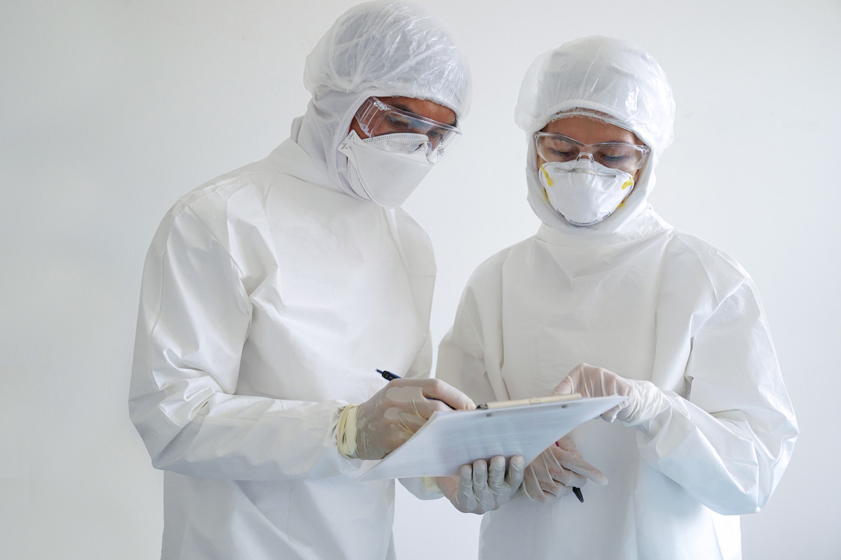 COVID-19 caused two-thirds of excess deaths in the US:
study 1
