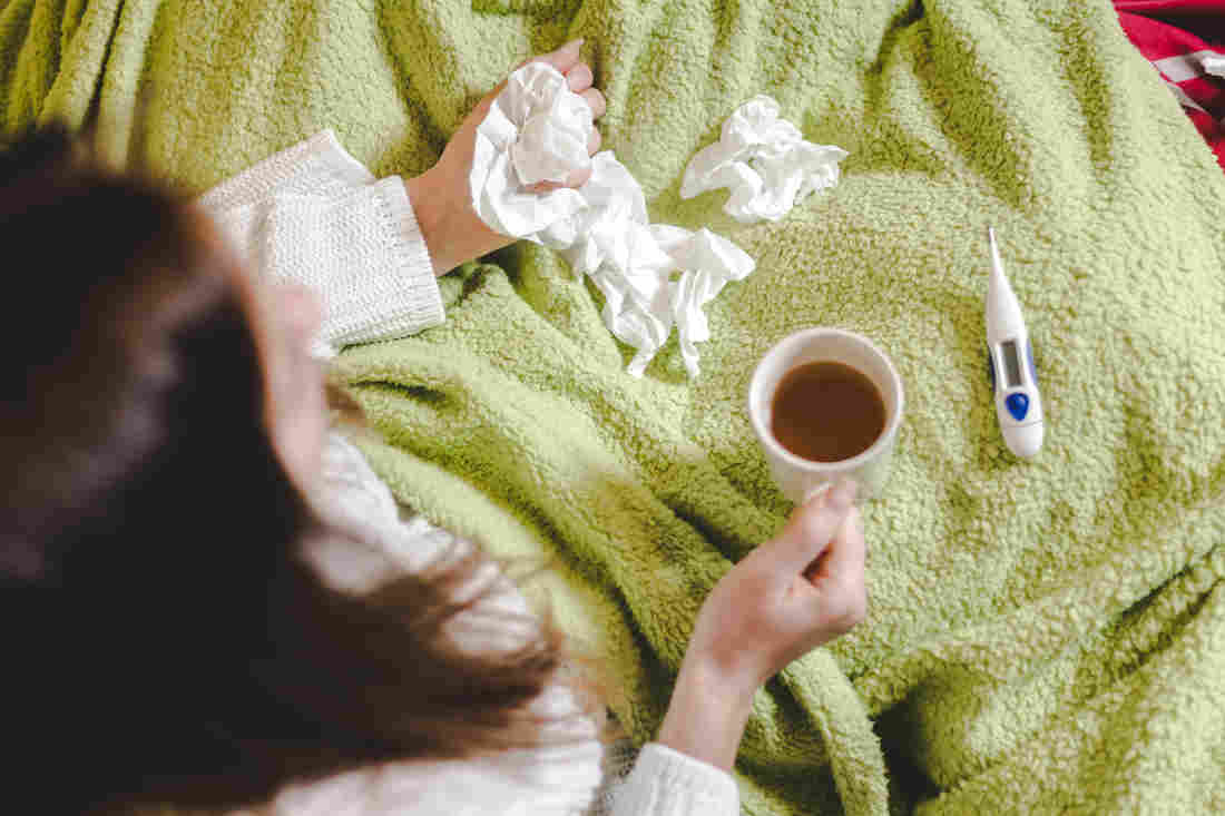 Allergies, Colds, Flu And COVID-19: How To Best Prep For
Fall's 'Sick Season' 1