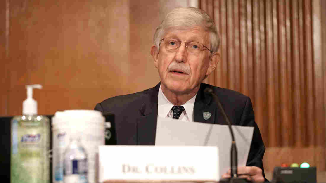 NIH Director 'Guardedly Optimistic' About COVID-19 Vaccine
Approval By End Of 2020 1