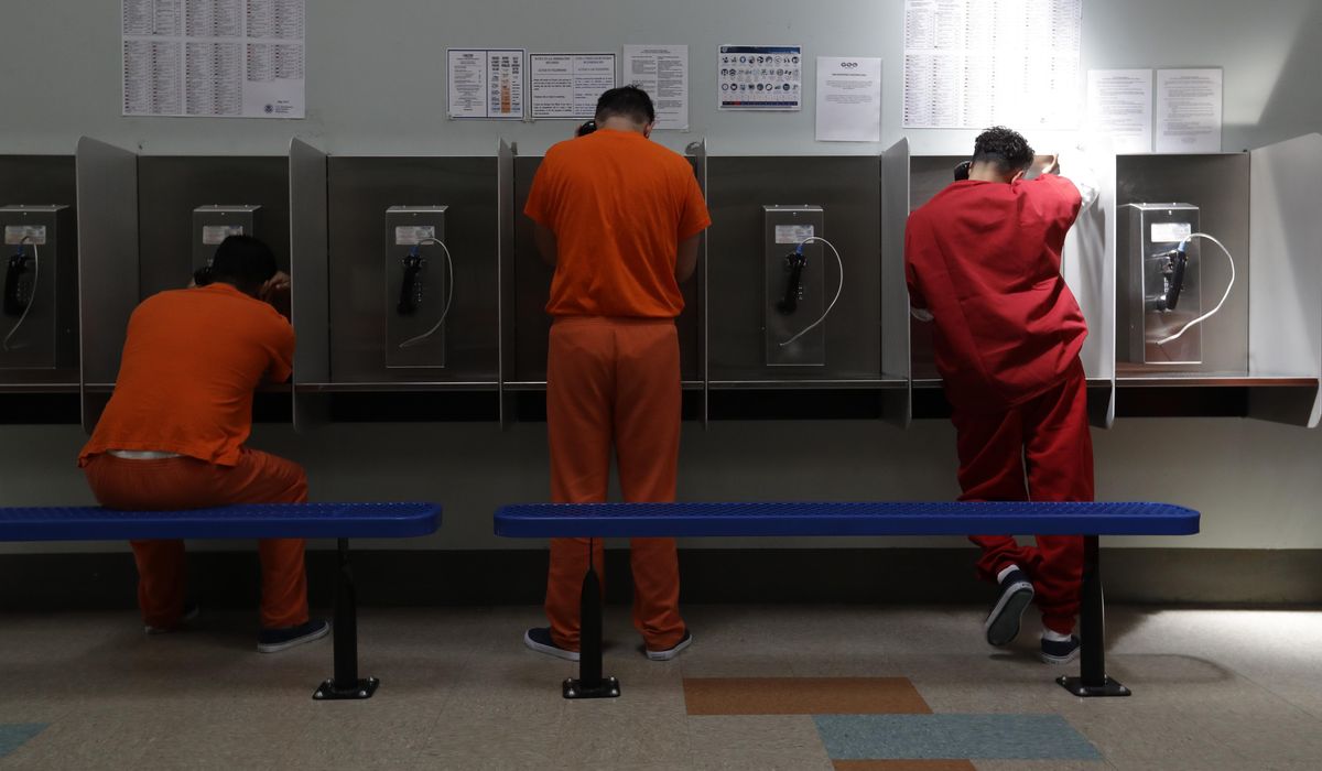 ICE forced to release hundreds of criminals due to
coronavirus, court order 1