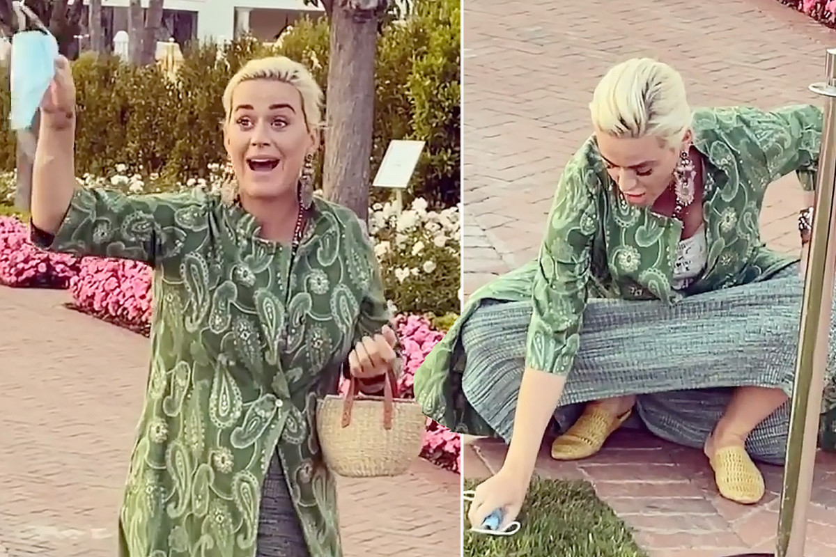 Katy Perry uses face mask to pick up dog poop 1