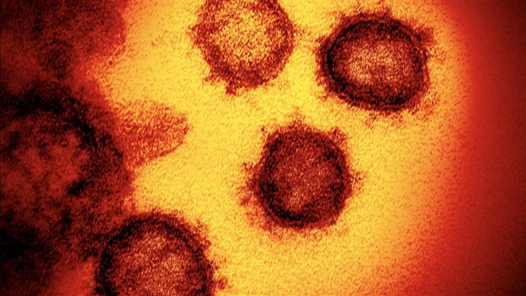 The 'evidence is clear': Hydroxychloroquine doesn't help
Covid-19 patients 1