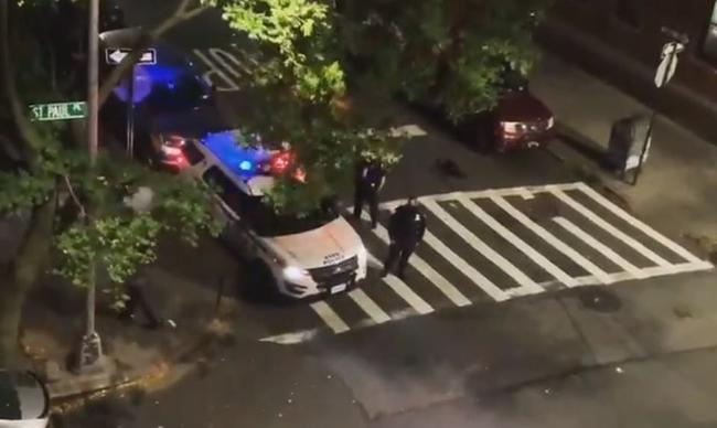 NYPD Officer Suspended Without Pay For Blaring "Trump
2020" On Loudspeaker 1