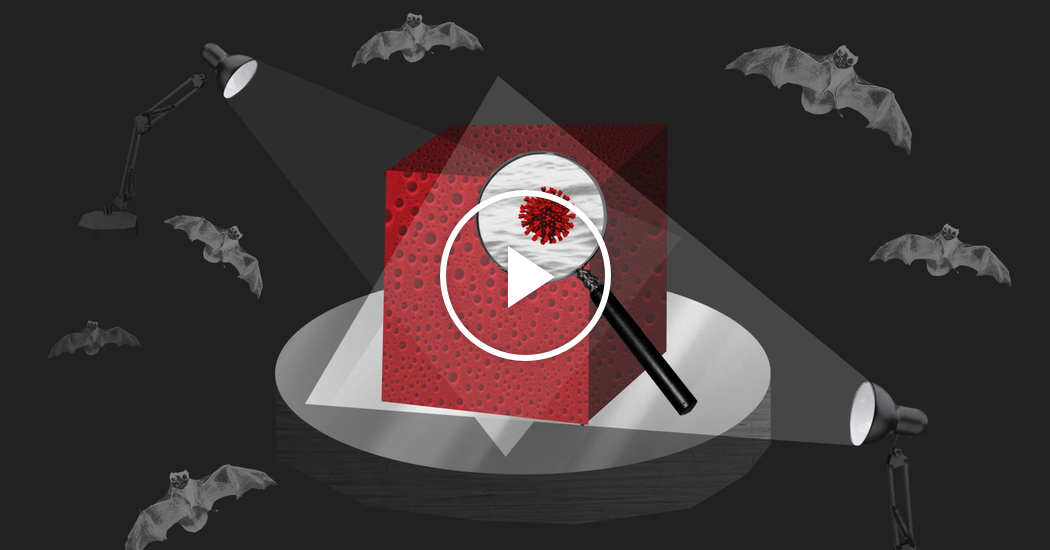 How America Helped Defeat the Coronavirus* 1
