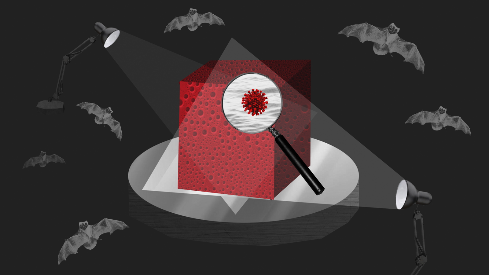 How America Helped Stop the Coronavirus in Asia 1