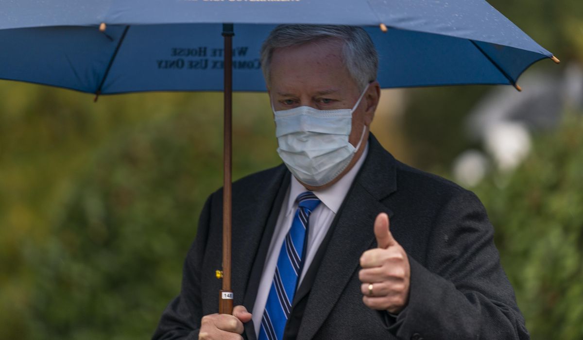 Joe Biden campaign accuses Trump administration of 'waving
the white flag' on coronavirus 1