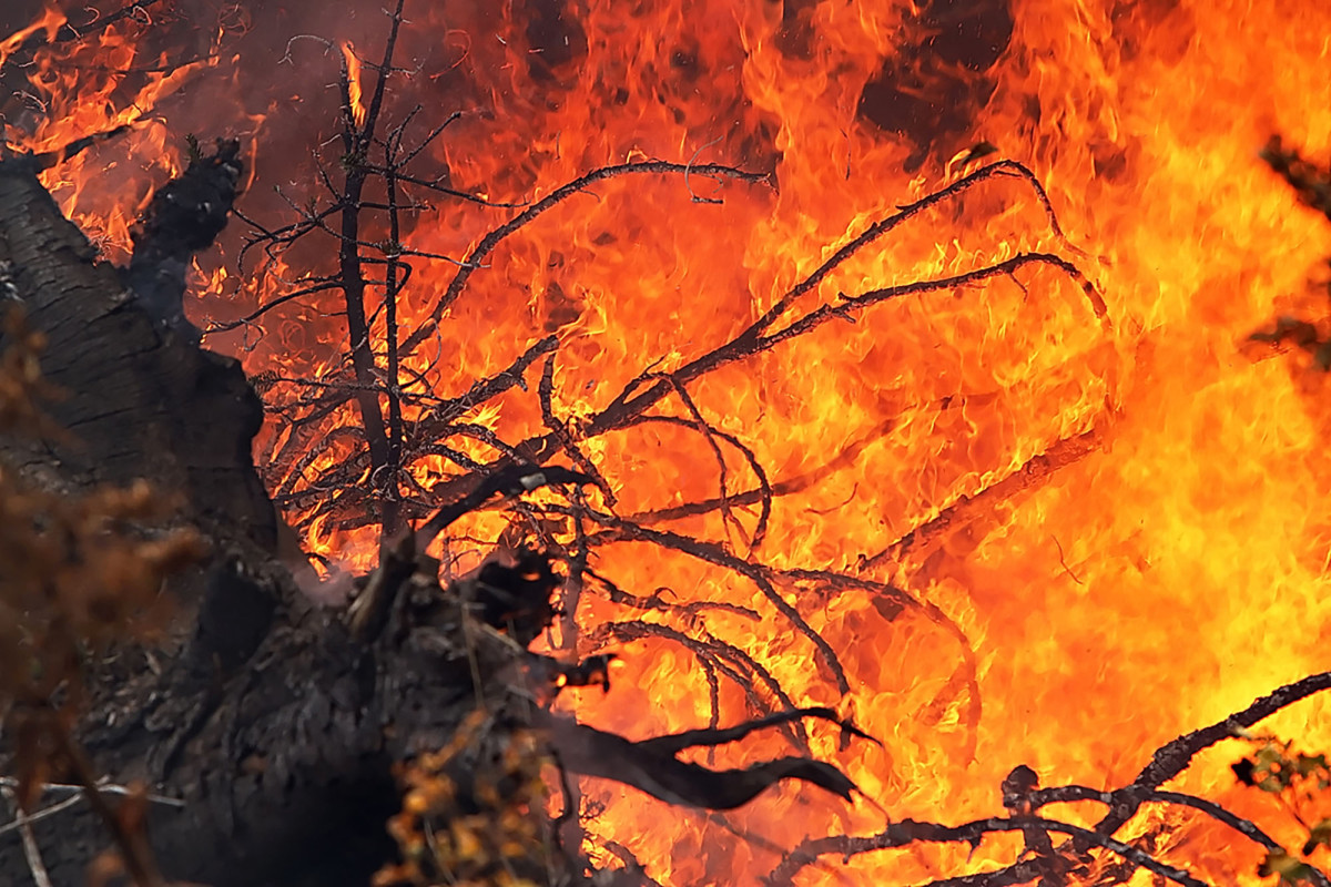 Family of seven who lost home to Washington wildfires all
have COVID-19 1