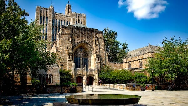 Yale prof claims coronavirus is 'ethnic cleansing' 1
