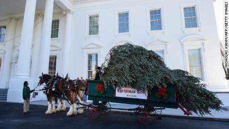 White House Christmas tree arrives, continuing tradition
amid Covid-19 and election disputes 1