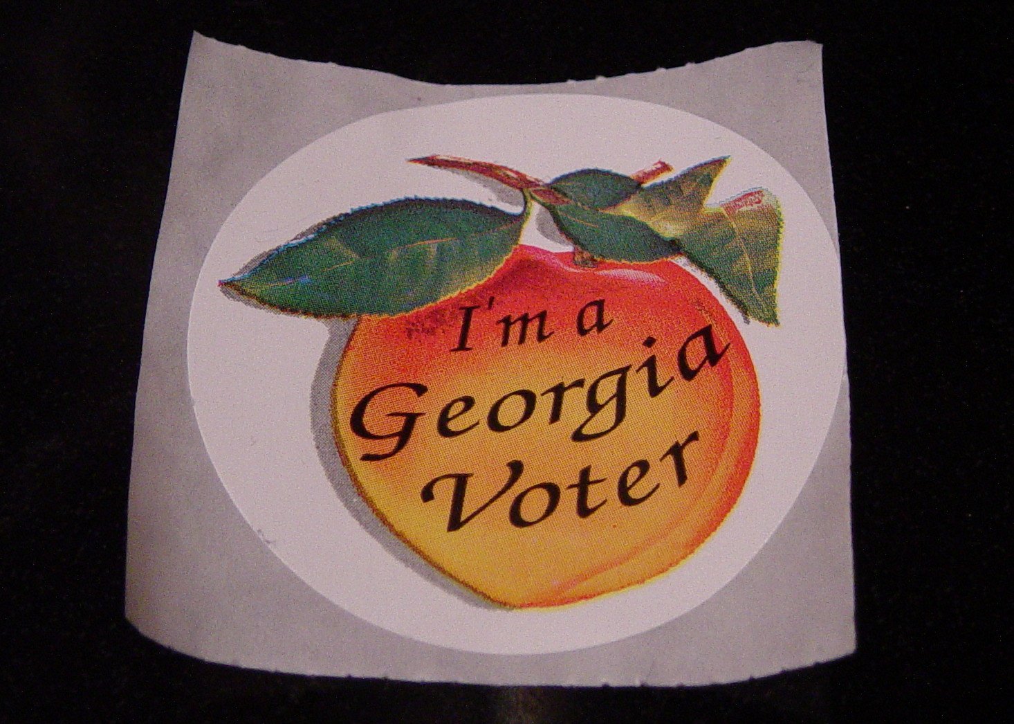 Democrats Openly Urge People To Commit Voter Fraud By
Temporarily ‘Moving’ To Georgia 1