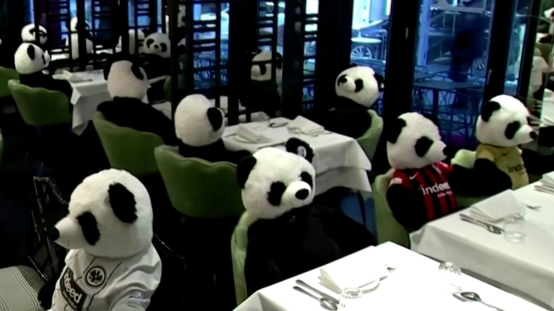 German Restaurant Protests Pandemic Lockdowns With Stuffed
Pandas 1