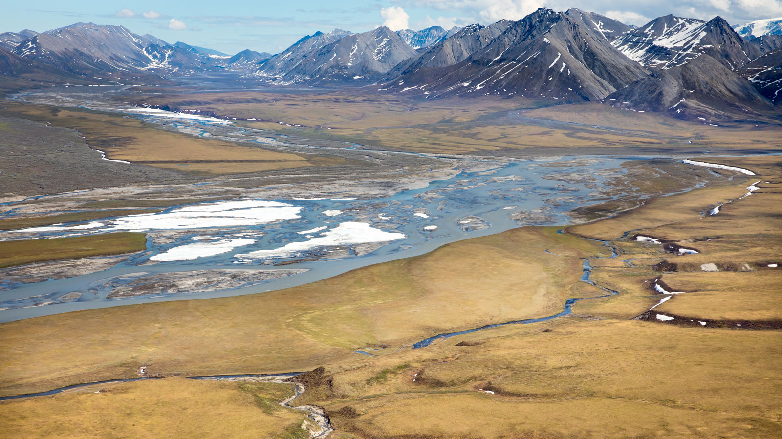 Daily Digest 11/12 – Trump to Rush Drilling Leases in Arctic
Before Biden Takes Over, Costco updates mask policy 1