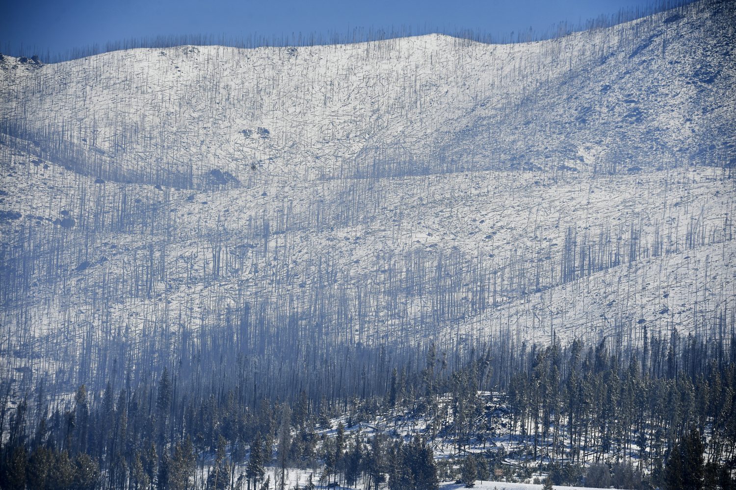 Popular Bear Lake area in Rocky Mountain National Park
reopens after East Troublesome fire 1