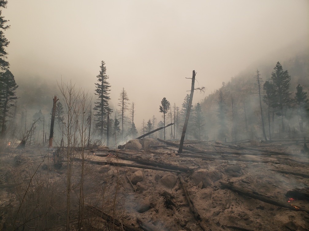 Rocky Mountain National Park partially reopening Friday
after 15-day closure 1