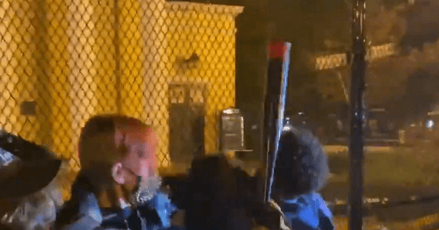 Watch: Protesters Get Violent with Baseball Bats in
DC 1