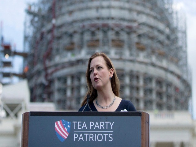 Tea Party Patriots to Hold 'Protect the Vote Protests'
Across Country on Thursday 1