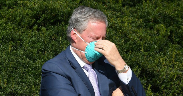 Report: White House Chief of Staff Mark Meadows Contracts
Coronavirus 1