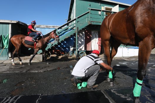 Coronavirus: Outbreak hits Bay Area horserace track
hard 1