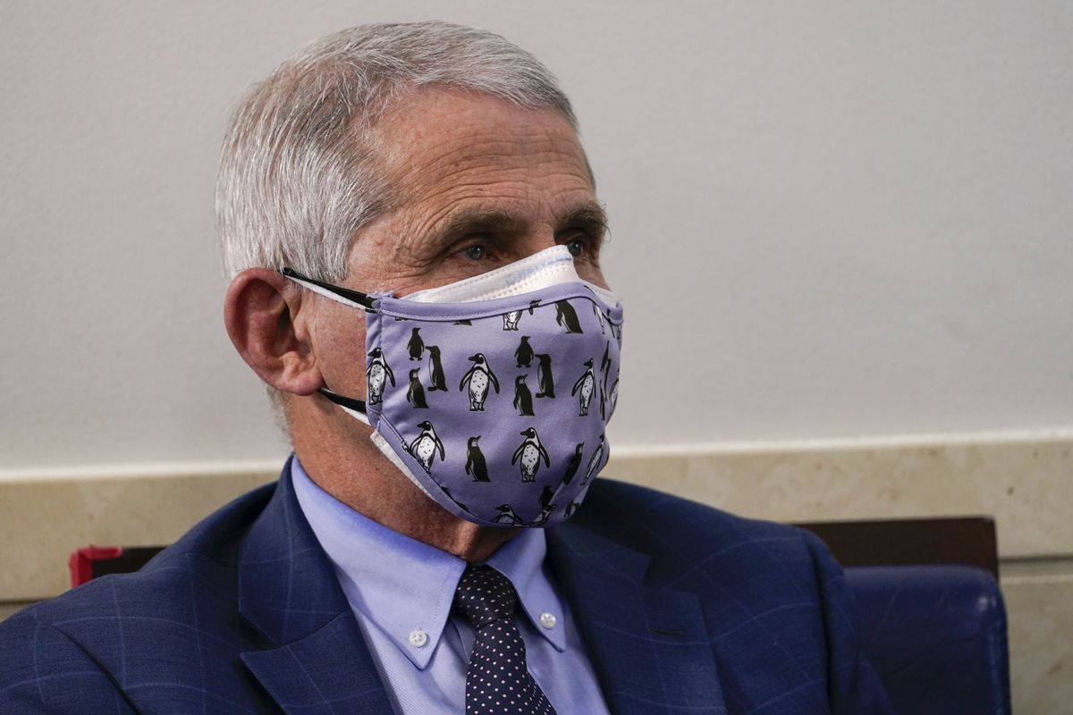 Fauci pleads with Americans to ‘double down’ on face masks
during first COVID-19 briefing in months 1