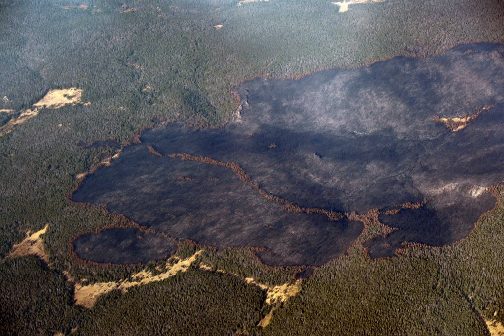 Much of Arapaho, Roosevelt national forests reopening
Tuesday after three-week closure due to fire danger 1